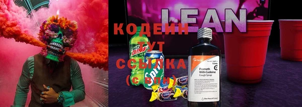 индика Арсеньев