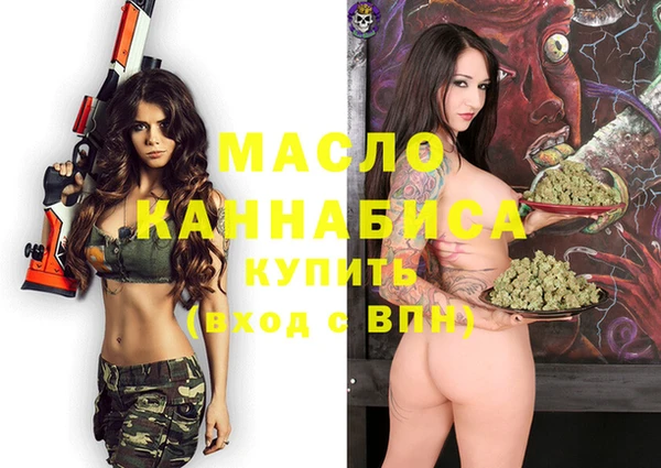 индика Арсеньев