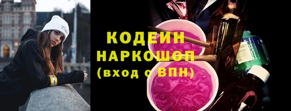 индика Арсеньев
