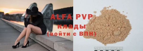 индика Арсеньев