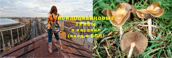 герыч Аркадак