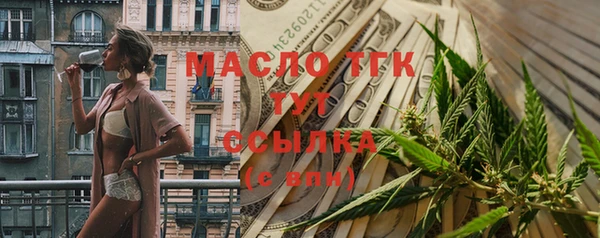 индика Арсеньев