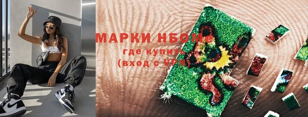 индика Арсеньев