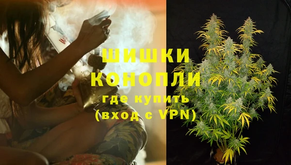 индика Арсеньев