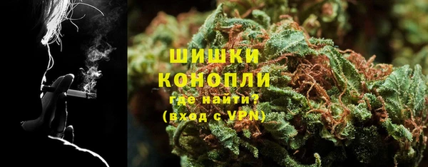 индика Арсеньев