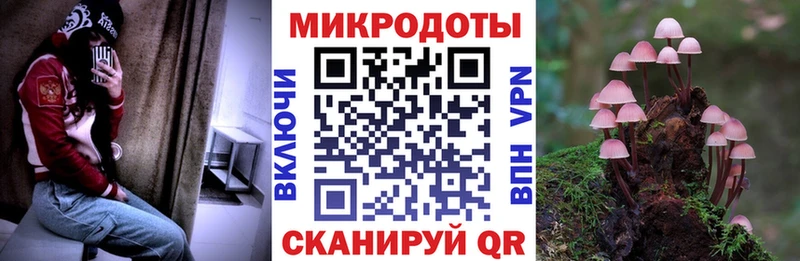 Псилоцибиновые грибы ЛСД  где купить наркотик  Туринск 
