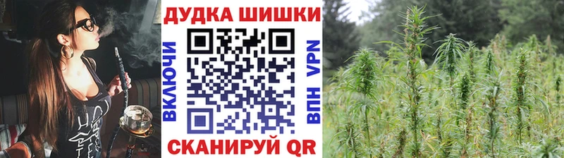 дарнет шоп  Туринск  Шишки марихуана Amnesia 